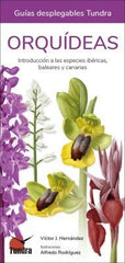 ORQUIDEAS INTRODUCCION A LAS ESPECIES IBERICAS BALEARES CAN - 9788419624499