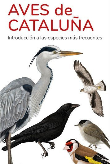 AVES DE CATALUÑA GUIAS DESPLEGABLES TUNDRA - 9788419624727 Imagen principal del producto