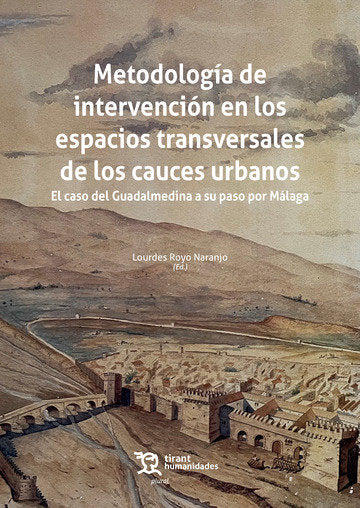 METODOLOGIA DE INTERVENCION EN LOS ESPACIOS TRANSVERSALES D - 9788419632494 Imagen principal del producto