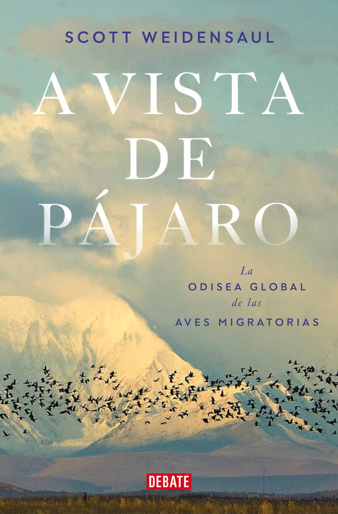 A VISTA DE PAJARO - 9788419642592