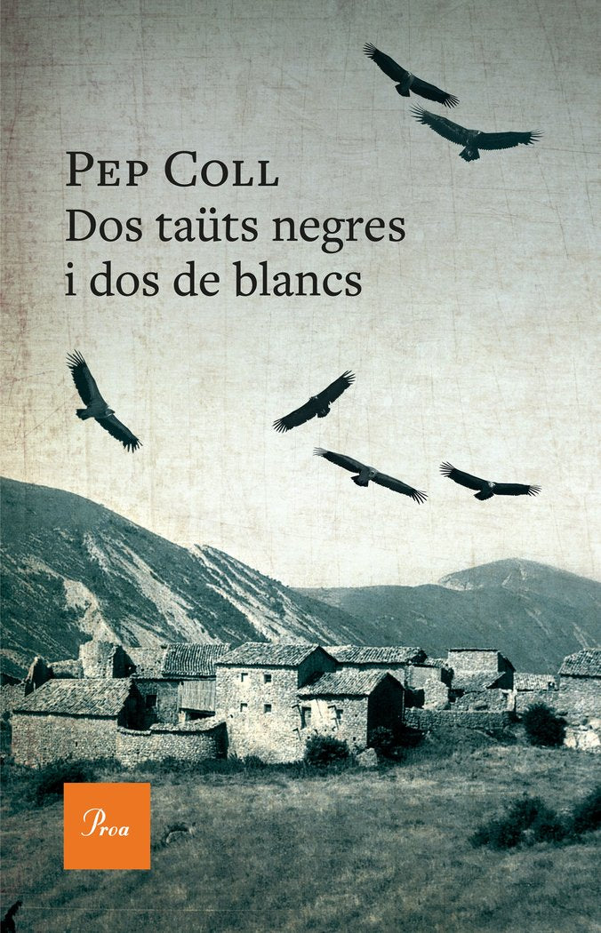 DOS TAUTS NEGRES I DOS DE BLANCS - 9788419657909 Imagen principal del producto
