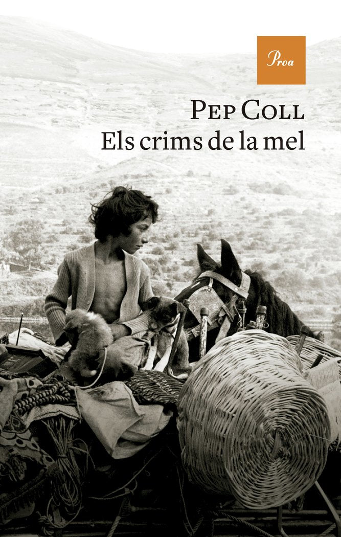 ELS CRIMS DE LA MEL - 9788419657930