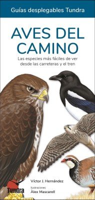 AVES DEL CAMINO - 9788419664754 Imagen principal del producto