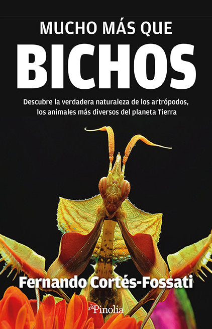 MUCHO MAS QUE BICHOS - 9788419878496 Imagen principal del producto