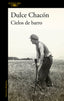 CIELOS DE BARRO - 9788420406572