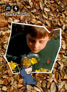 EXPERIMENTO 4ANYS CAT/BAL 10 BELLUGUETS | GASSO JIMENO, ANNA | 9788421841211 (Casals) Imagen principal del producto