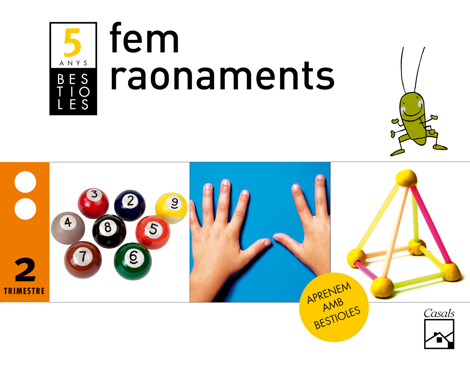 Fem raonaments 2n trimestre 5 anys. Bestioles (2012) Imagen principal del producto