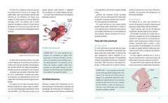 SER MAMA GUIA DE EMBARAZO PARTO Y POSPARTO CON EVIDENCIA Y Edicion actualizada y revisada