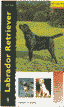 LABRADOR RETRIEVER EXCELLENCE - 9788425512827