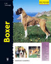 BOXER EXCELLENCE - 9788425512933