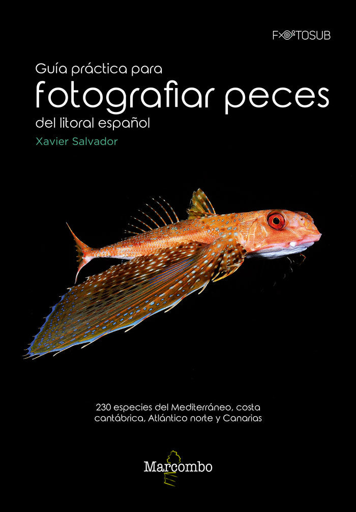 GUIA PRACTICA PARA FOTOGRAFIAS PECES DEL LITORAL ESPAÑOL - 9788426726315 Imagen principal del producto