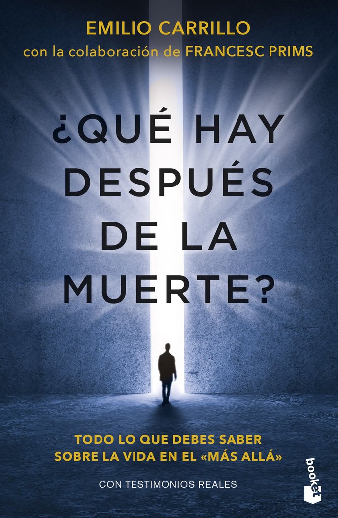 QUE HAY DESPUES DE LA MUERTE - 9788427051881 Imagen principal del producto
