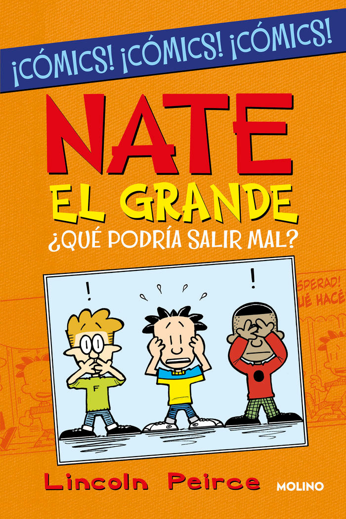 ¿QUÉ PODRÍA SALIR MAL? (NATE EL GRANDE [CÓMIC]) I Peirce, Lincoln I Molino I 9788427223219 Imagen principal del producto