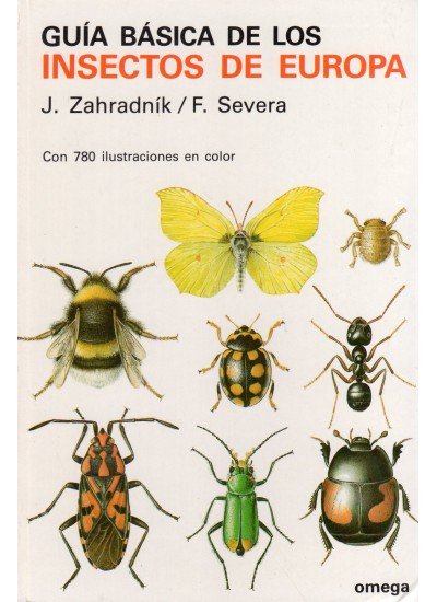 GUIA BASICA INSECTOS - 9788428206419 Imagen principal del producto