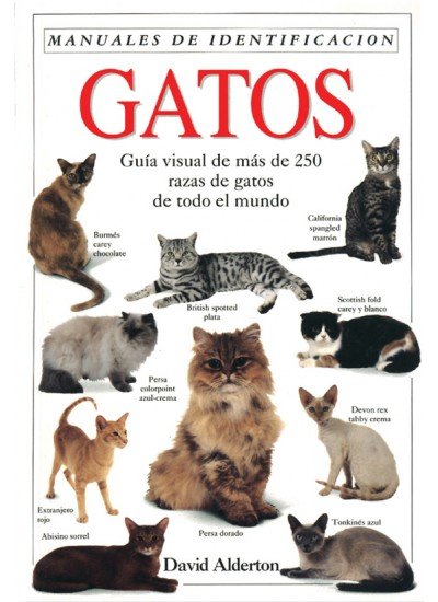 GATOS MANUAL IDENTIFICACION - 9788428209410 Imagen principal del producto