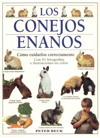 CONEJOS ENANOSLOS - 9788428211017
