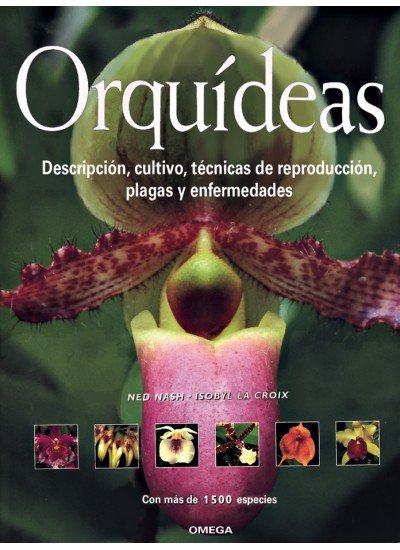 ORQUIDEAS - 9788428211307 Imagen principal del producto