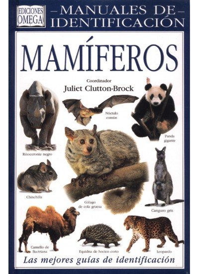 MAMIFEROS MANUAL DE IDENTIFICACION - 9788428212670 Imagen principal del producto