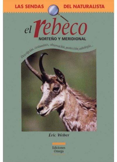 REBECO NORTEÑO Y MERIDIONAL - 9788428213233 Imagen principal del producto