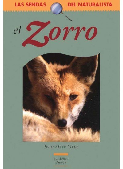 ZORRO - 9788428213875 Imagen principal del producto
