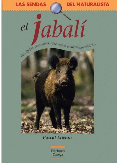 JABALI - 9788428213929 Imagen principal del producto