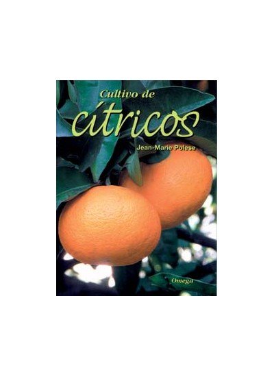 CULTIVO DE CITRICOS - 9788428214292 Imagen principal del producto