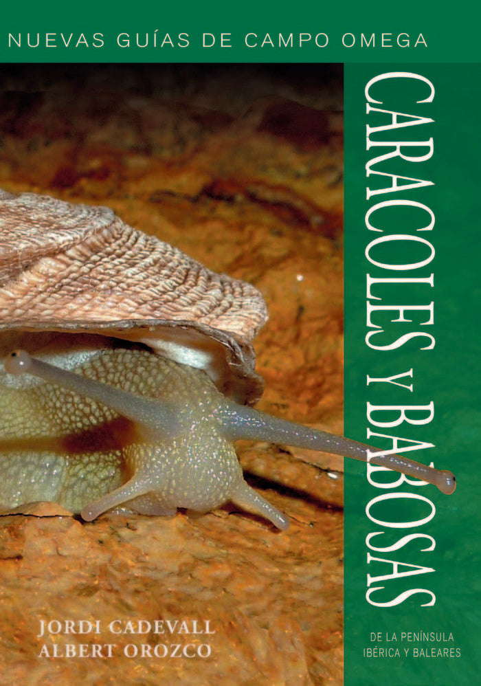 CARACOLES Y BABOSAS NUEVAS GUIAS DE CAMPO - 9788428215992 Imagen principal del producto