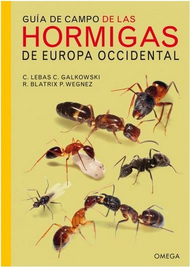 GUIA DE CAMPO DE LAS HORMIGAS DE EUROPA OCCIDENTAL - 9788428216630 Imagen principal del producto