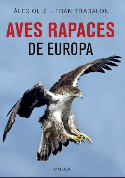 AVES RAPACES DE EUROPA - 9788428216975 Imagen principal del producto