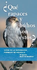 QUE RAPACES Y BUHOS SON ESTOS - 9788428217095 Imagen principal del producto