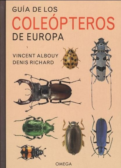 GUIA DE LOS COLEOPTEROS DE EUROPA - 9788428217149 Imagen principal del producto