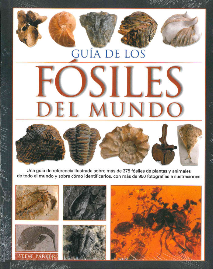 GUIA DE LOS FOSILES DEL MUNDO - 9788428217170 Imagen principal del producto
