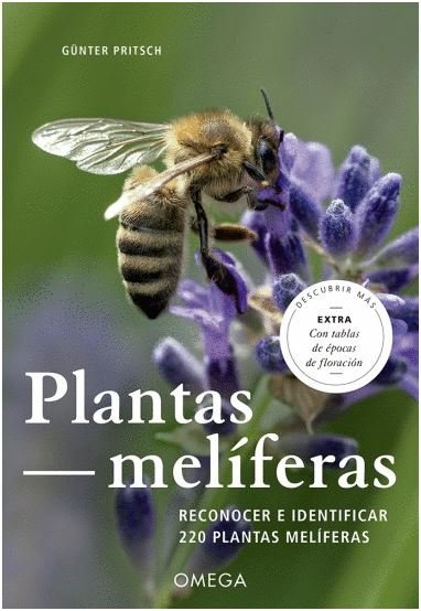 PLANTAS MELIFERAS - 9788428217187 Imagen principal del producto