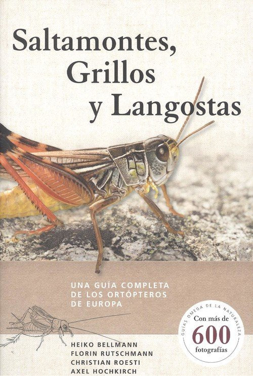 SALTAMONTES GRILLOS Y LANGOSTAS - 9788428217279 Imagen principal del producto
