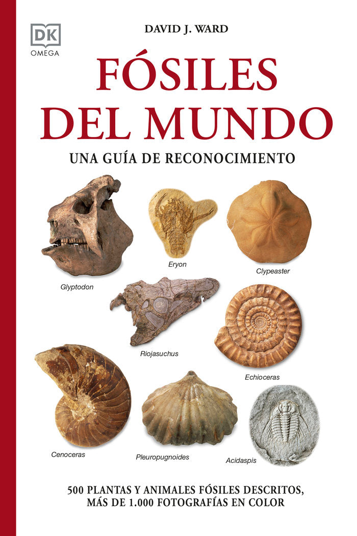 FOSILES DEL MUNDO - 9788428217569 Imagen principal del producto