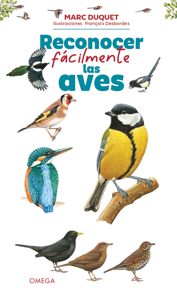 RECONOCER FACILMENTE LAS AVES - 9788428217811 Imagen principal del producto