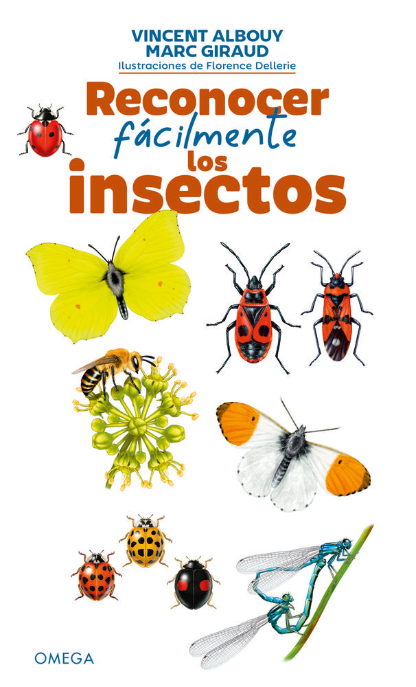 RECONOCER FACILMENTE LOS INSECTOS - 9788428217859 Imagen principal del producto