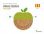 Educación Plástica, Visual y Audiovisual Dibujo Técnico Serie Diseña Nivel III ESO Santillana (Santillana) - 9788429473551