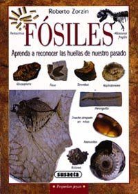 FOSILES APRENDA A RECONOCER LAS HUELLAS DE NUESTRO TIEMPO - 9788430533527 Imagen principal del producto