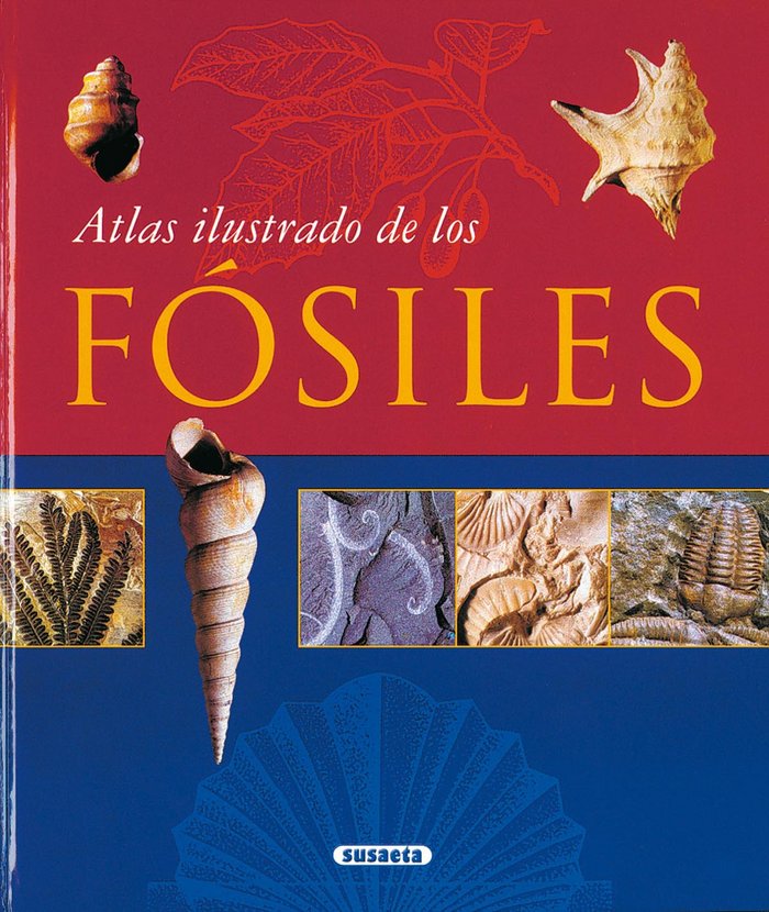 ATLAS ILUSTRADO DE LOS FOSILES - 9788430548712 Imagen principal del producto
