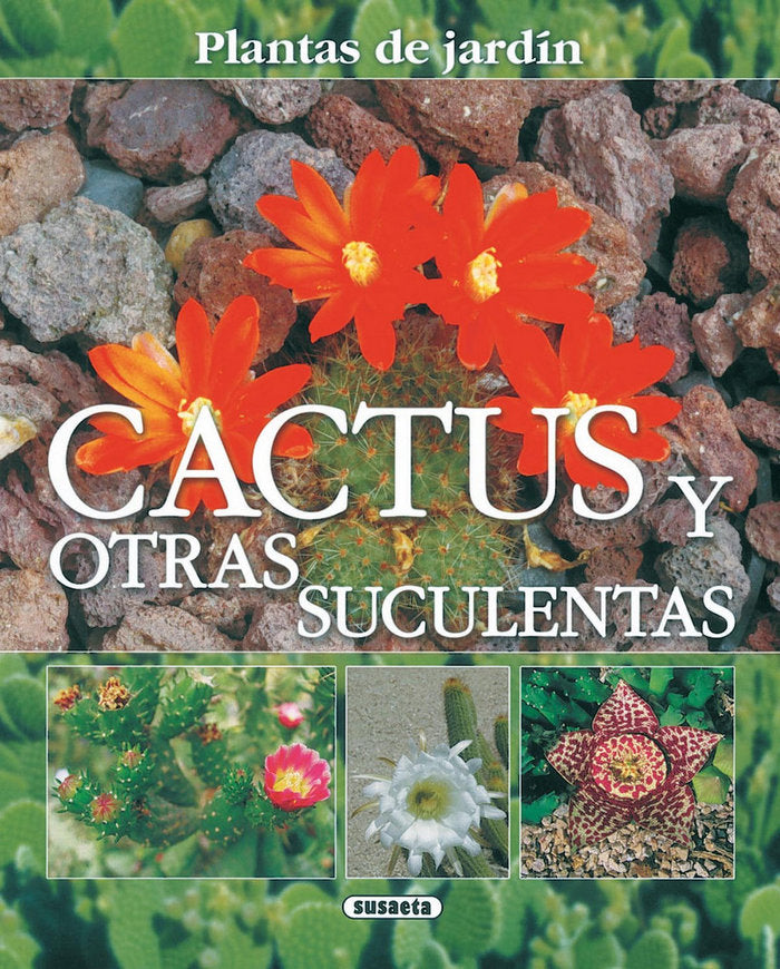 CACTUS Y OTRAS SUCULENTAS - 9788430556878 Imagen principal del producto