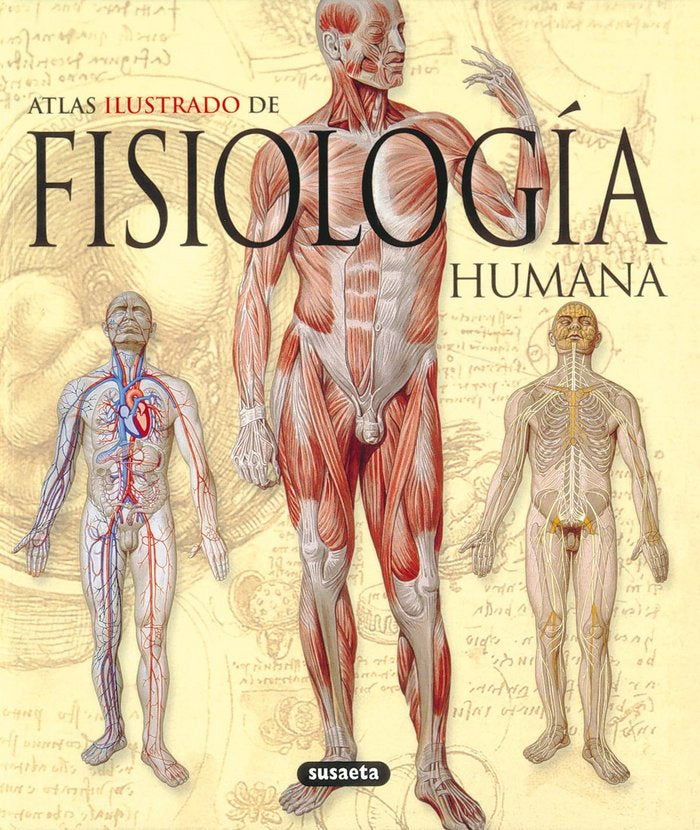 ATLAS ILUSTRADO FISIOLOGIA HUMANA - 9788430572656 Imagen principal del producto