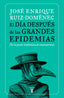 DIA DESPUES DE LAS GRANDES EPIDEMIASEL - 9788430623785