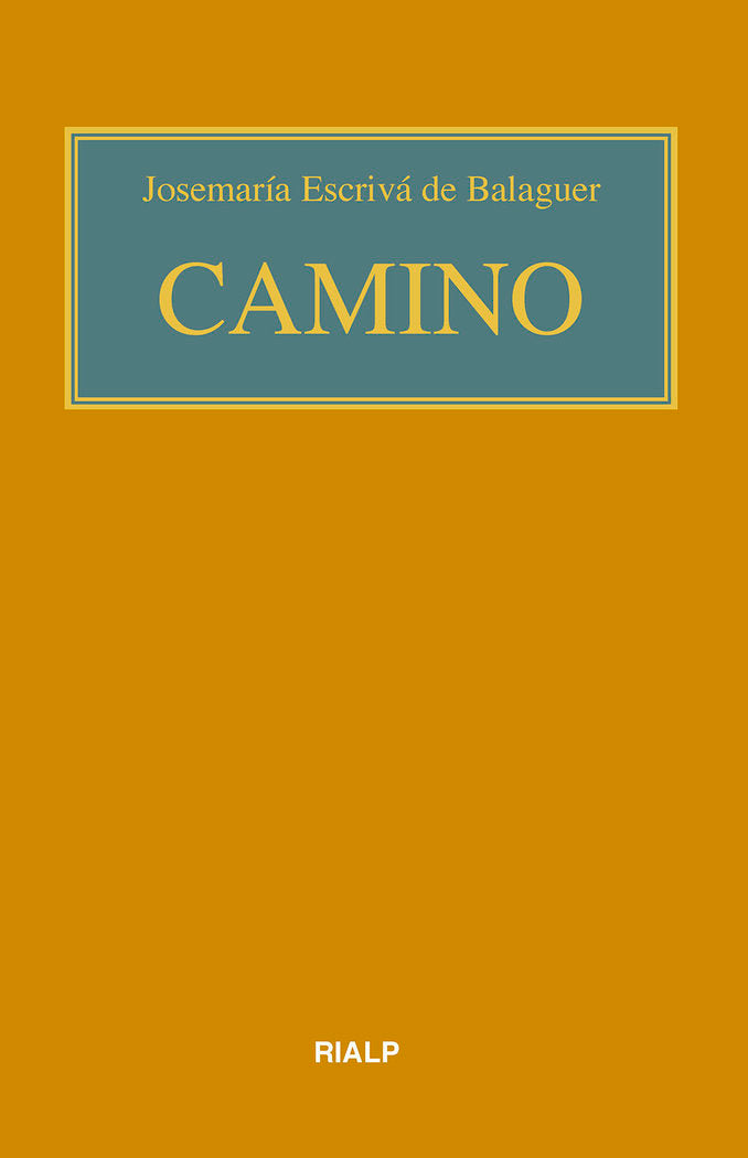 CAMINO BOLSILLO RUSTICA COLOR - 9788432159831