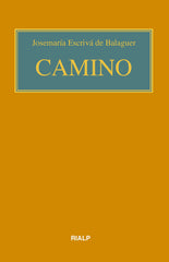 CAMINO BOLSILLO RUSTICA COLOR - 9788432159831