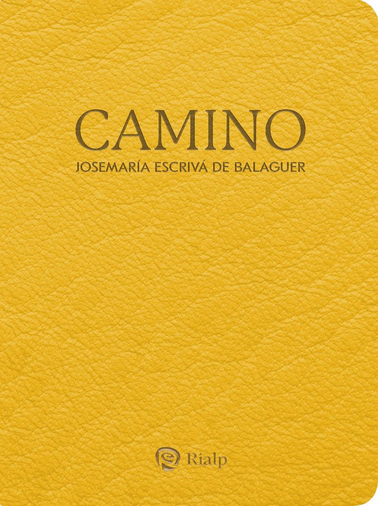 CAMINO BOLSILLO PIEL SINTETICA - 9788432168031