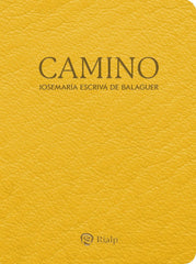 CAMINO BOLSILLO PIEL SINTETICA - 9788432168031