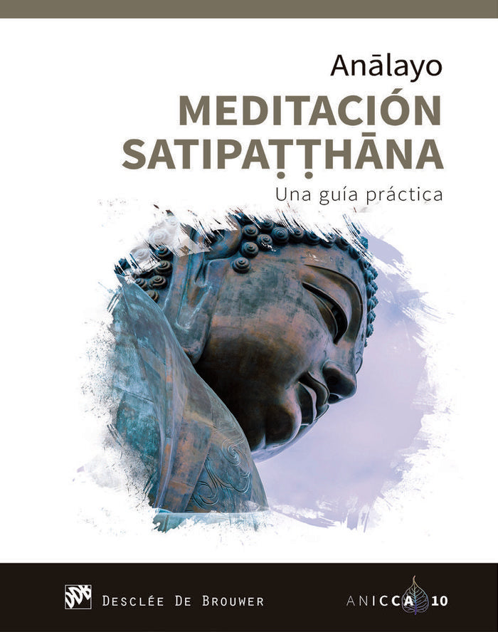 MEDITACION SATIPATTHANA - 9788433030597 Imagen principal del producto