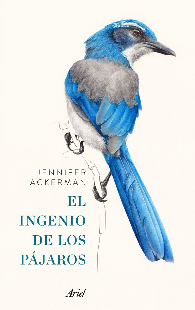 INGENIO DE LOS PAJAROSEL - 9788434425262 Imagen principal del producto