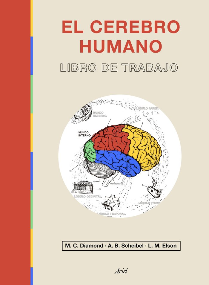 EL CEREBRO HUMANO LIBRO DE TRABAJO - 9788434433601 Imagen principal del producto